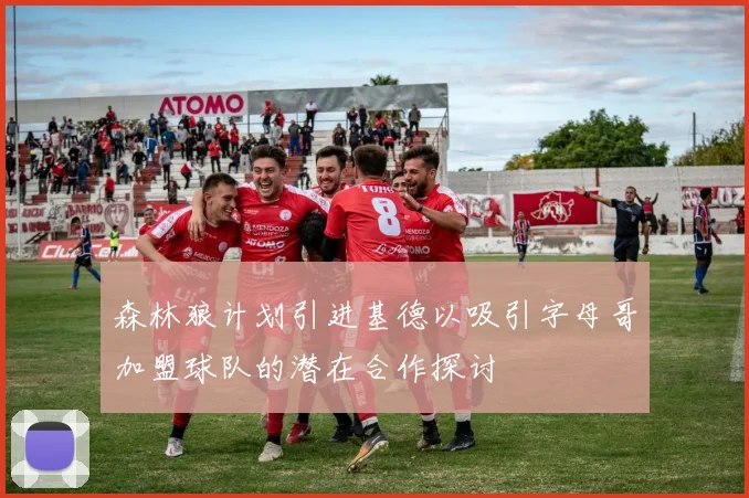 森林狼计划引进基德以吸引字母哥加盟球队的潜在合作探讨